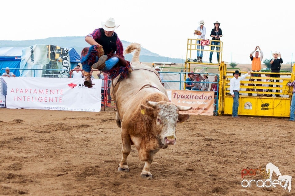 Campionat European de Rodeo, Băile Felix