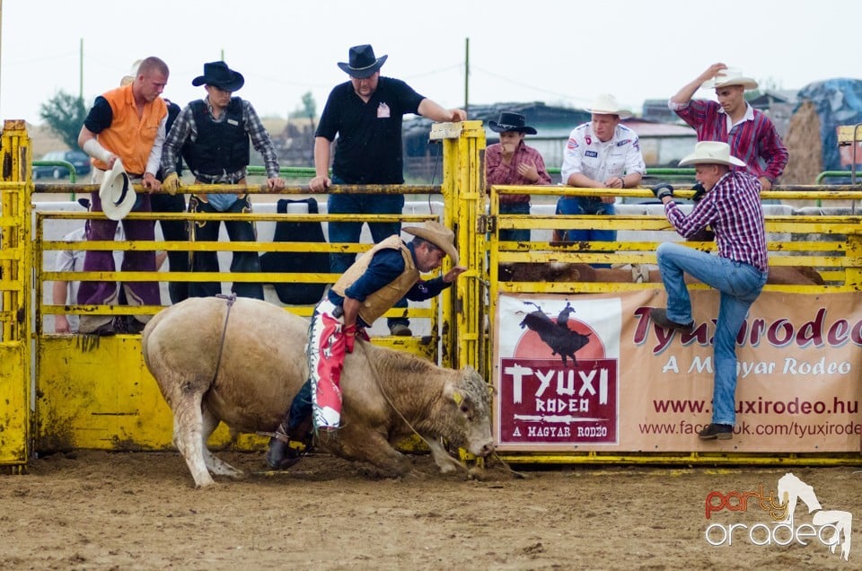 Campionat European de Rodeo, Băile Felix