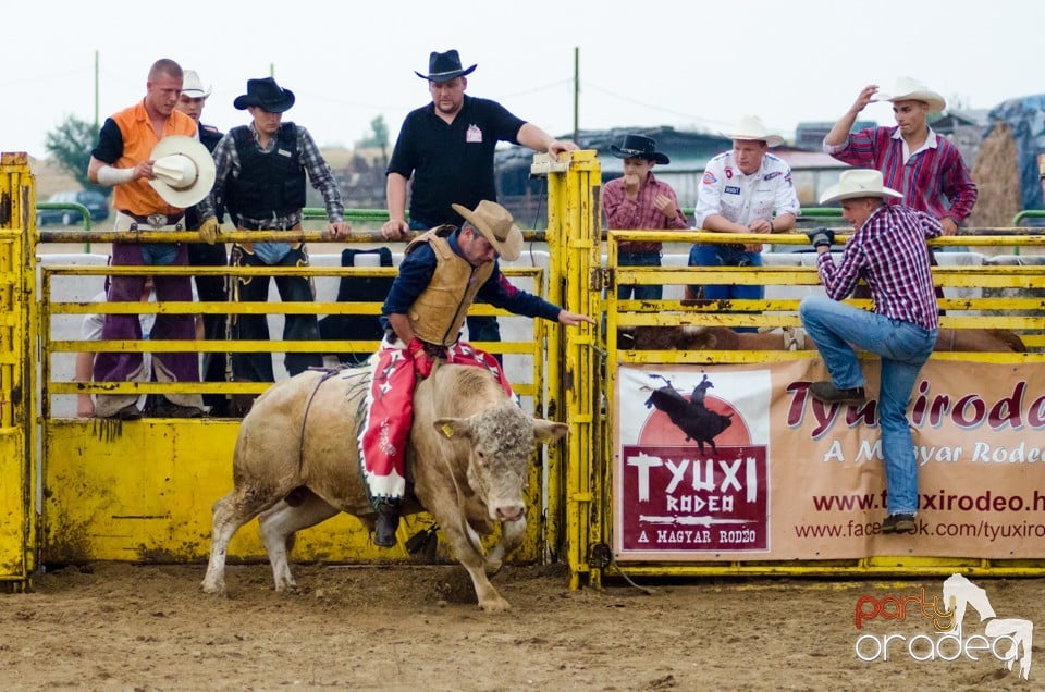 Campionat European de Rodeo, Băile Felix