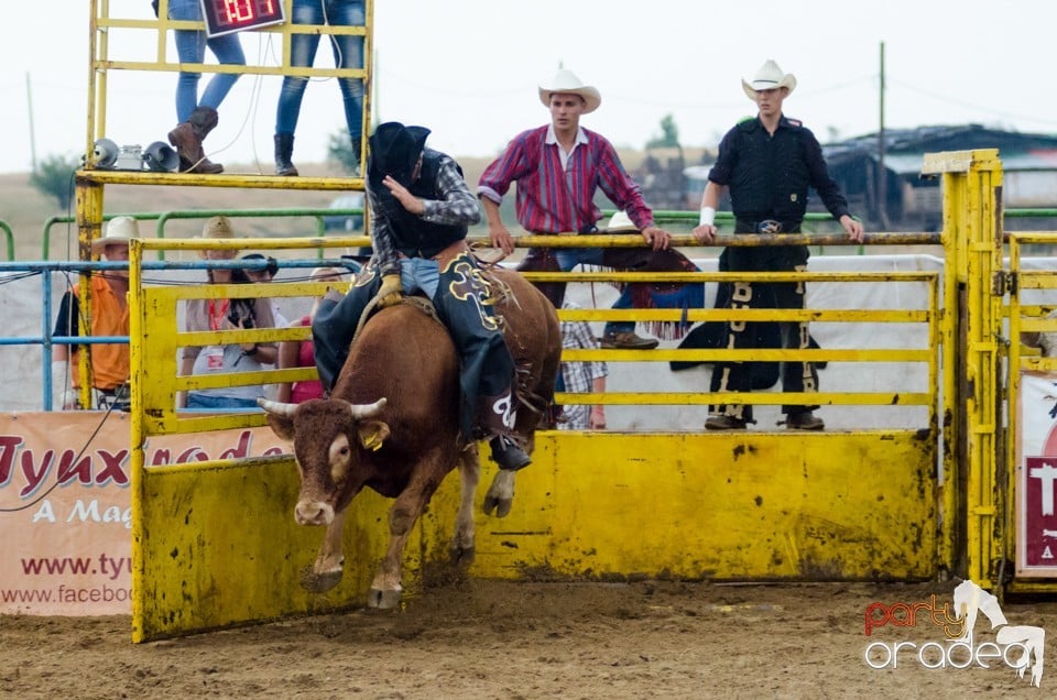 Campionat European de Rodeo, Băile Felix