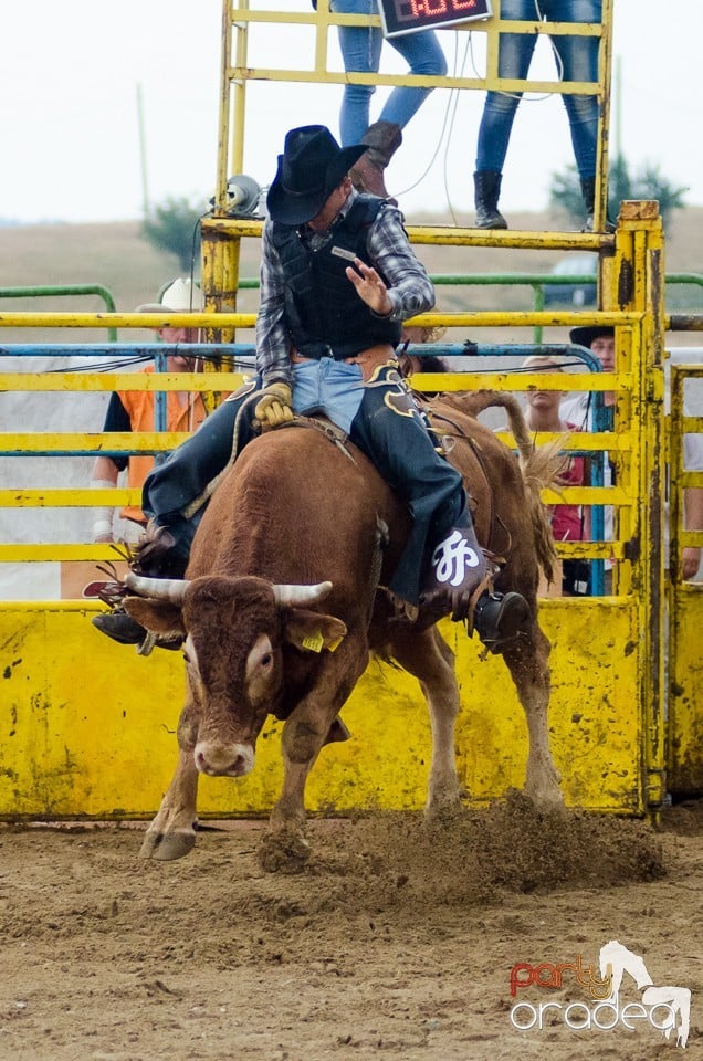 Campionat European de Rodeo, Băile Felix