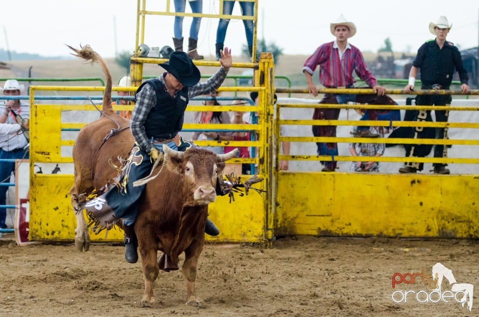 Campionat European de Rodeo, Băile Felix