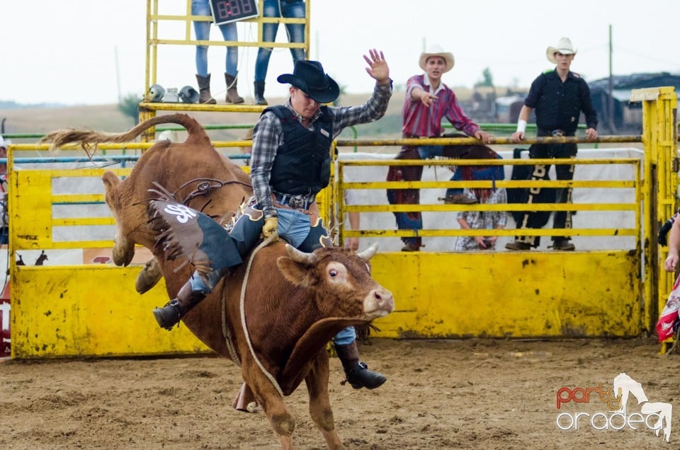 Campionat European de Rodeo, Băile Felix