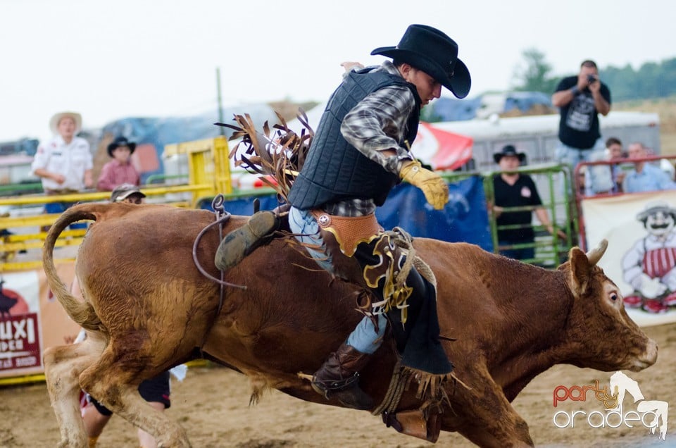 Campionat European de Rodeo, Băile Felix