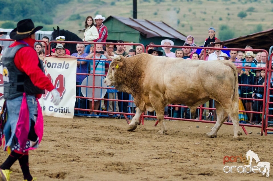 Campionat European de Rodeo, Băile Felix