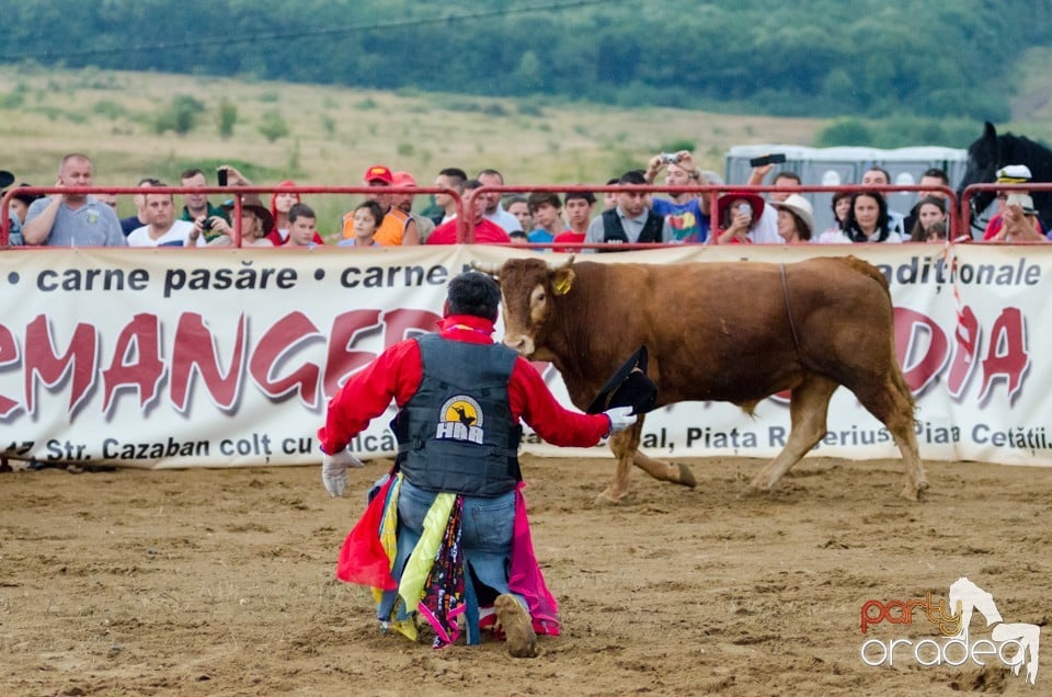 Campionat European de Rodeo, Băile Felix