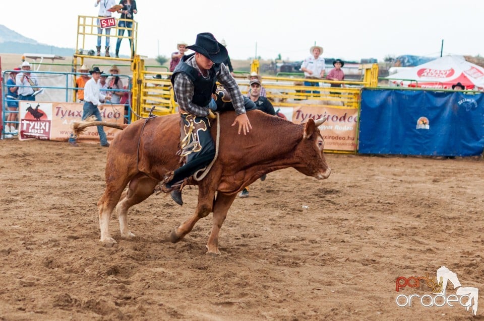 Campionat European de Rodeo, Băile Felix