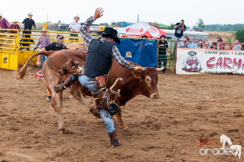 Campionat European de Rodeo, Băile Felix