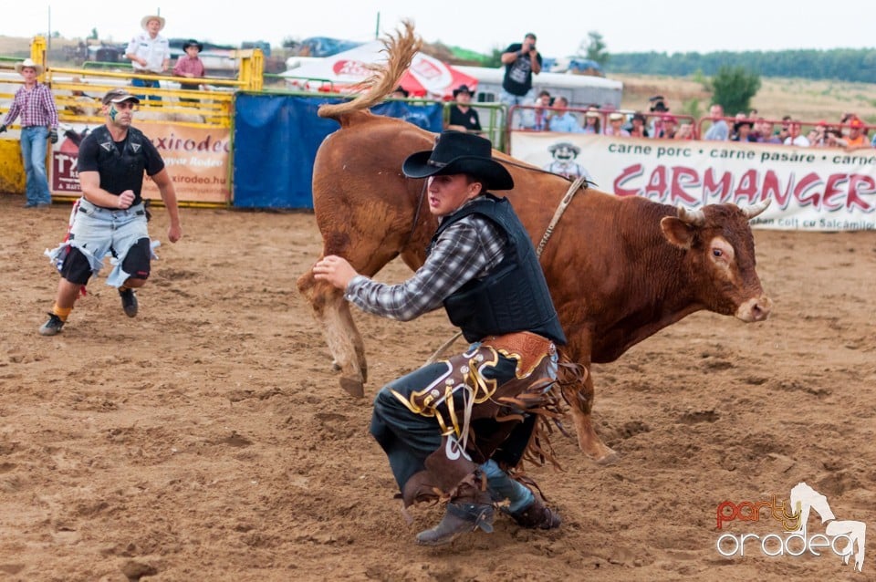 Campionat European de Rodeo, Băile Felix