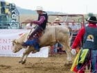 Campionat European de Rodeo