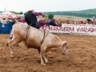 Campionat European de Rodeo