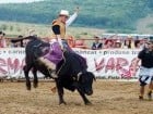 Campionat European de Rodeo