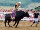 Campionat European de Rodeo