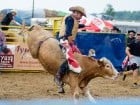 Campionat European de Rodeo