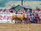 Campionat European de Rodeo