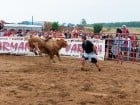 Campionat European de Rodeo