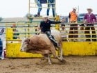 Campionat European de Rodeo