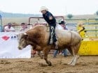 Campionat European de Rodeo