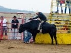 Campionat European de Rodeo