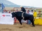 Campionat European de Rodeo