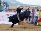 Campionat European de Rodeo