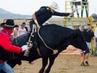 Campionat European de Rodeo