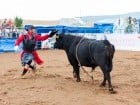 Campionat European de Rodeo