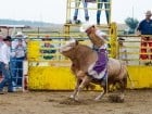 Campionat European de Rodeo