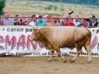 Campionat European de Rodeo