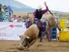 Campionat European de Rodeo