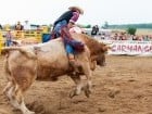 Campionat European de Rodeo