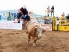 Campionat European de Rodeo