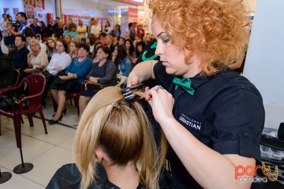 Salon Provocateur, Salon Provocateur
