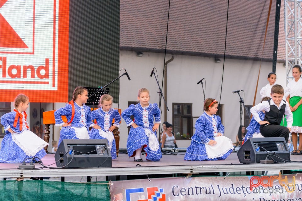 Sărbătoarea Recoltei, Cetatea Oradea