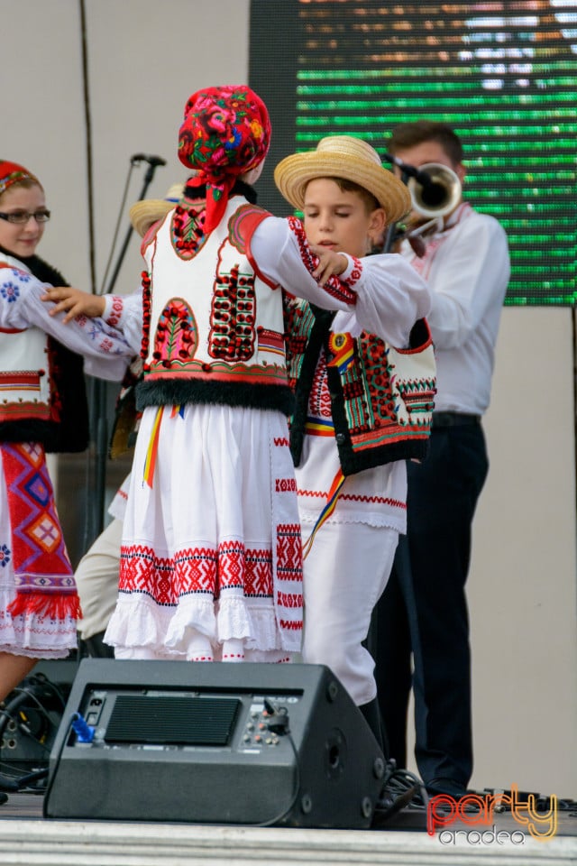 Sărbătoarea Recoltei, Cetatea Oradea