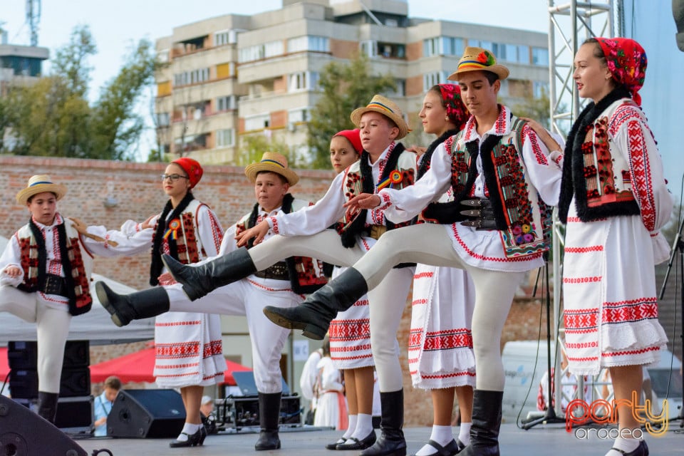 Sărbătoarea Recoltei, Cetatea Oradea