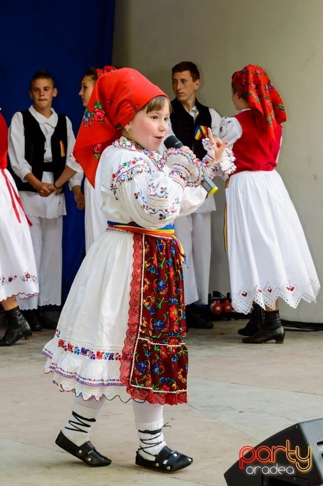 Sărbătorire de 1 Mai, Oradea