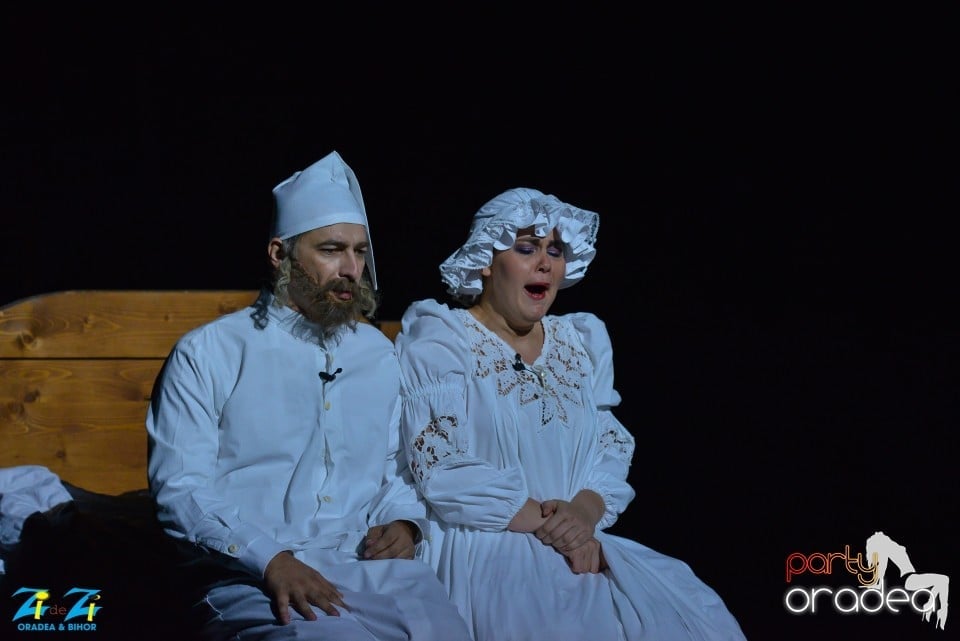 SCRIPCARUL PE ACOPERIŞ, Teatrul Regina Maria