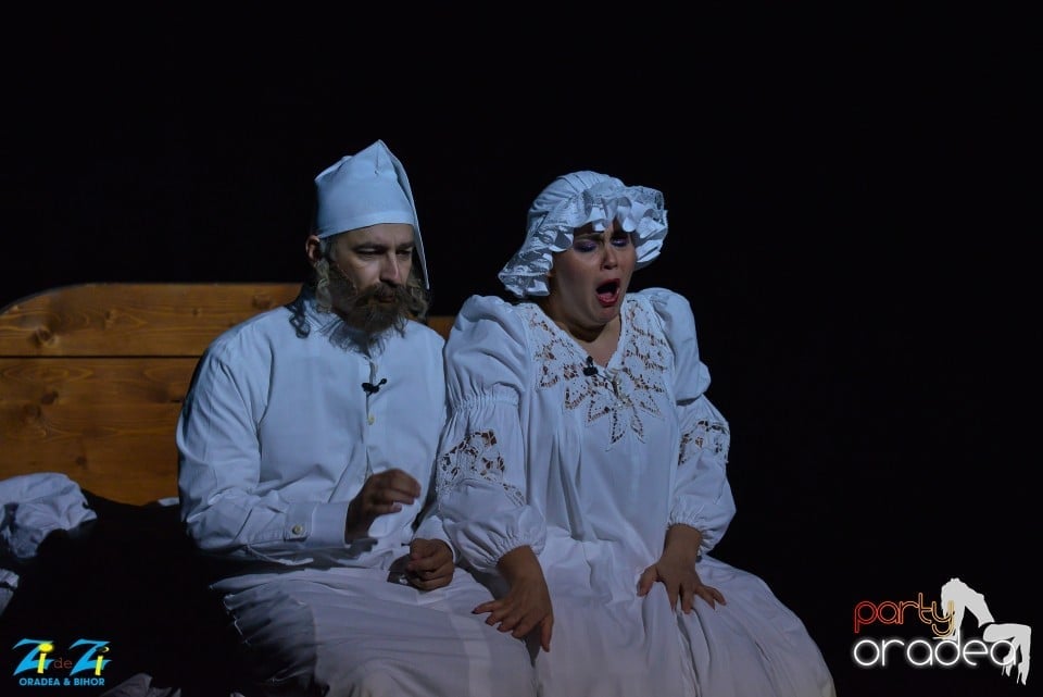 SCRIPCARUL PE ACOPERIŞ, Teatrul Regina Maria