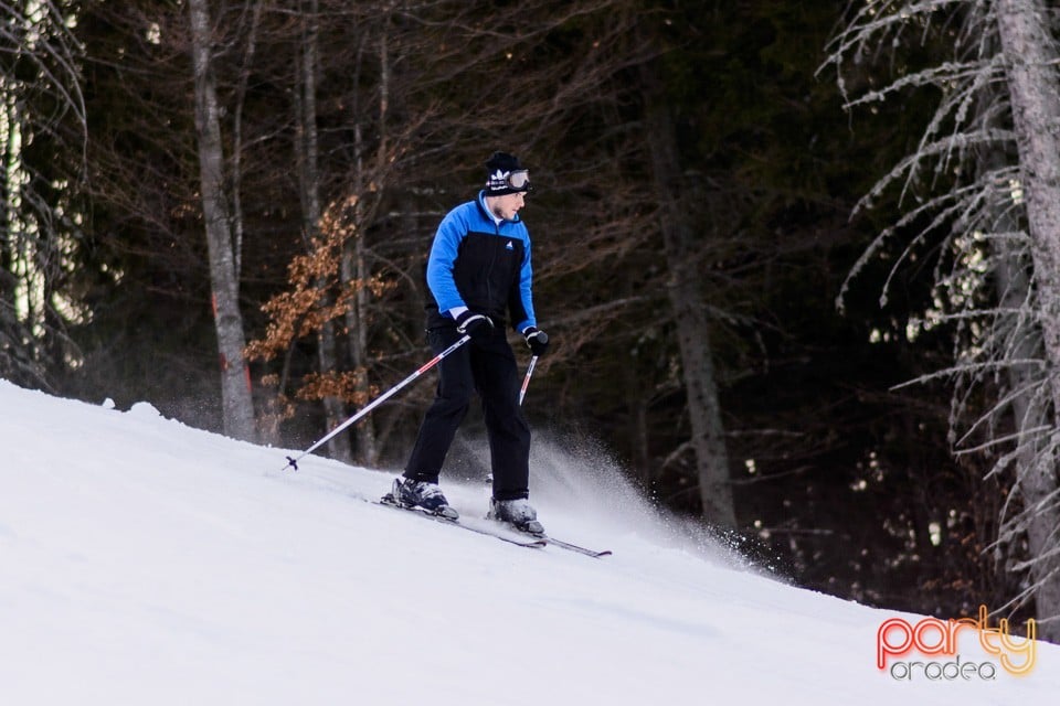 Serbările Zăpezii, Arieşeni