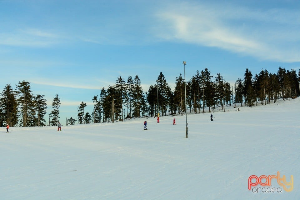 Serbările Zăpezii, Arieşeni