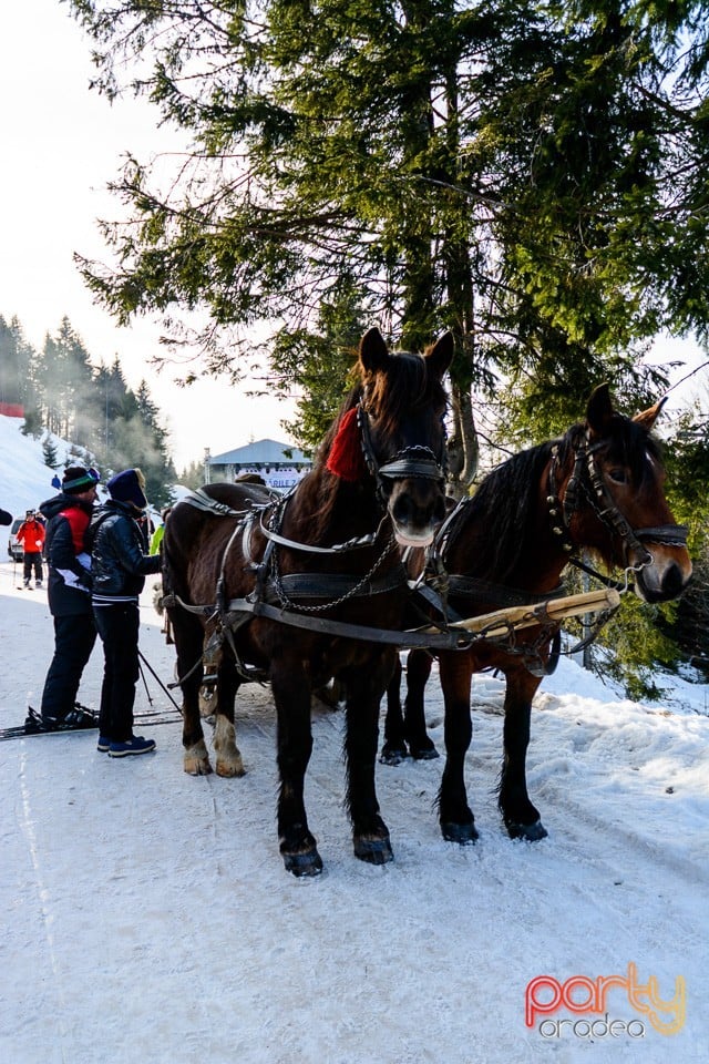 Serbările Zăpezii, Arieşeni