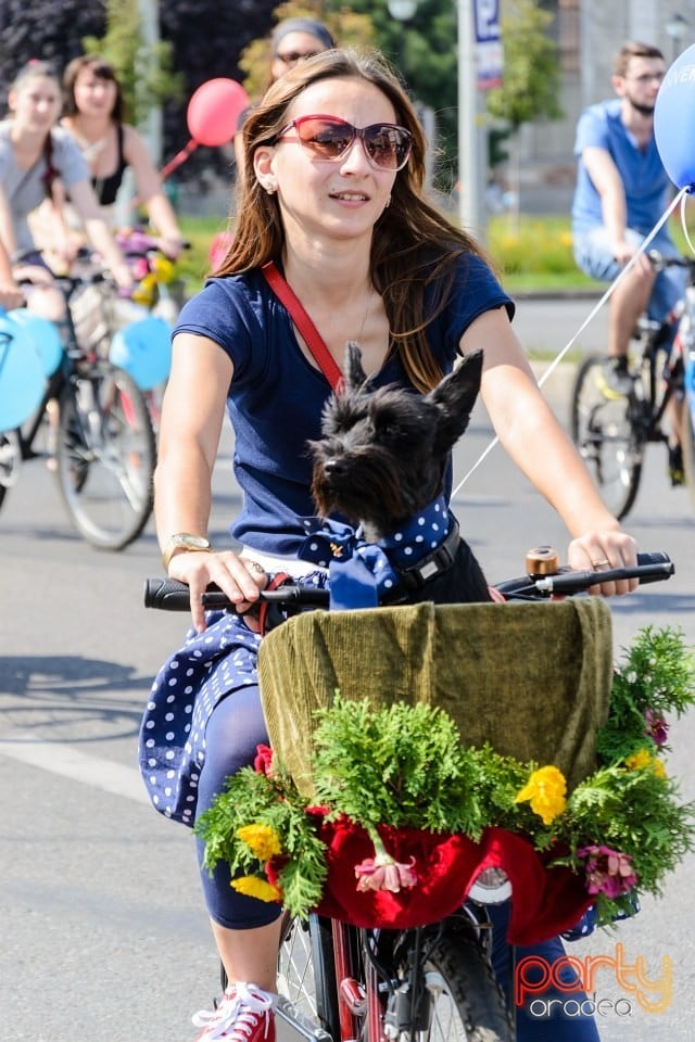 Skirtbike Oradea, Oradea