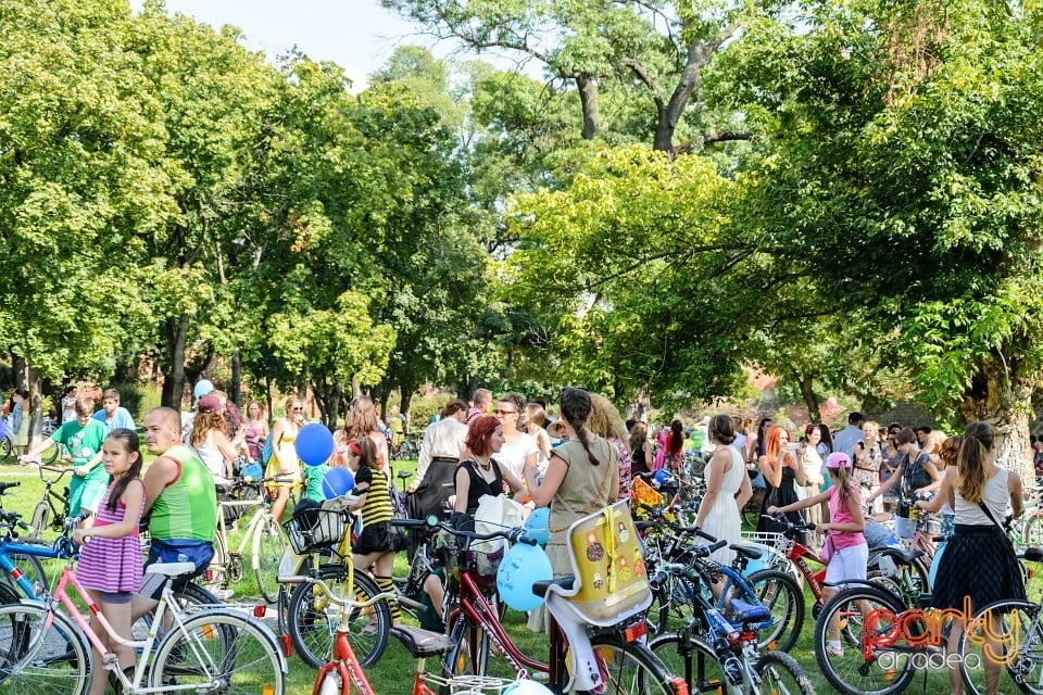 Skirtbike Oradea, Oradea