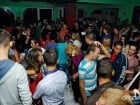 Sorkert Fest