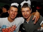 Sorkert Fest
