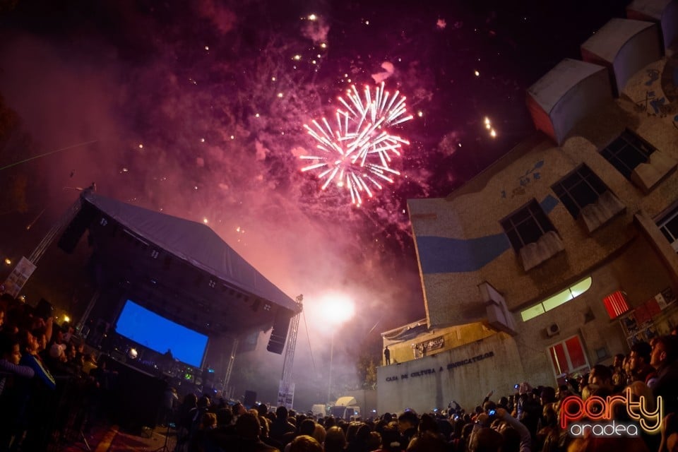 Spectacol de focuri de artificii, Oradea