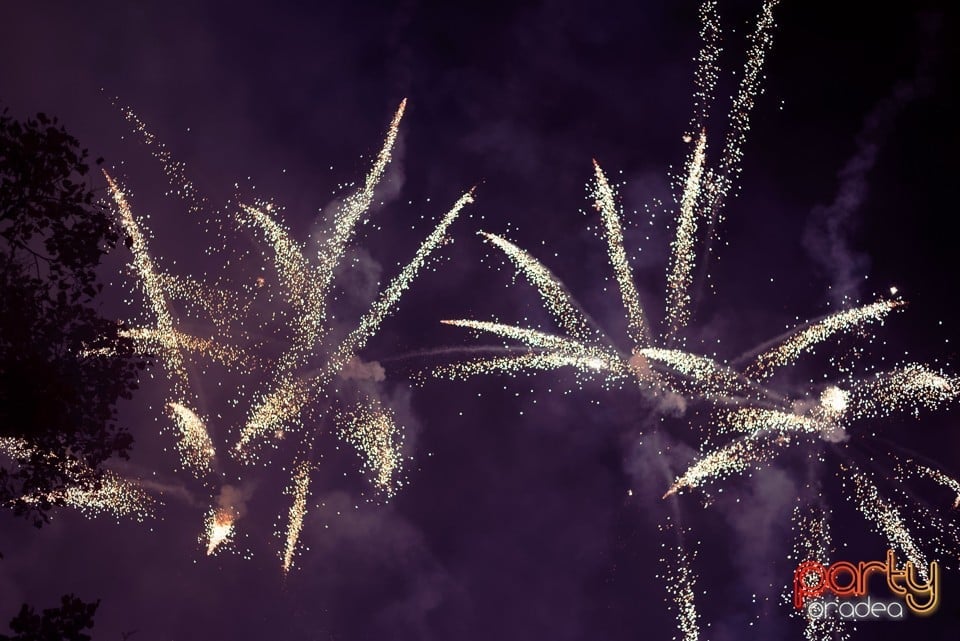 Spectacol de focuri de artificii, Oradea