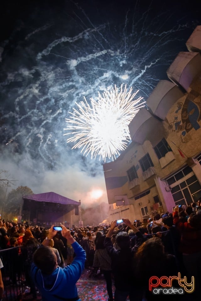 Spectacol de focuri de artificii, Oradea