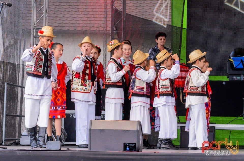 Spectacol de tradiţii folclorice interetnice, Cetatea Oradea